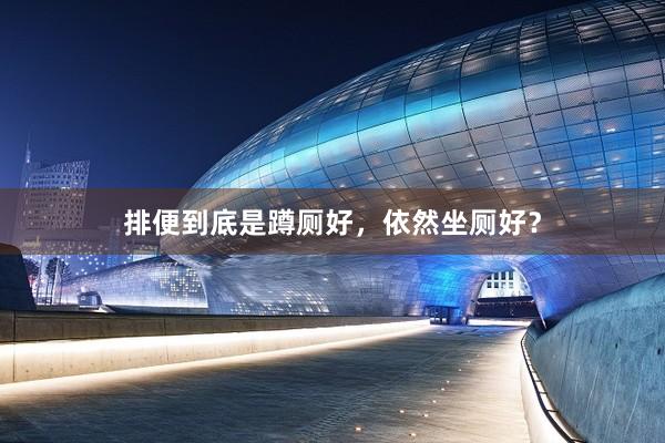 排便到底是蹲厕好，依然坐厕好？