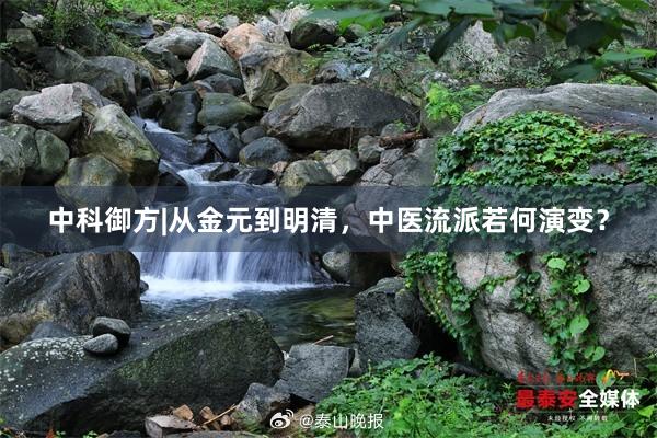 中科御方|从金元到明清，中医流派若何演变？