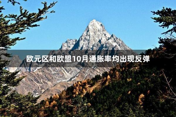 欧元区和欧盟10月通胀率均出现反弹