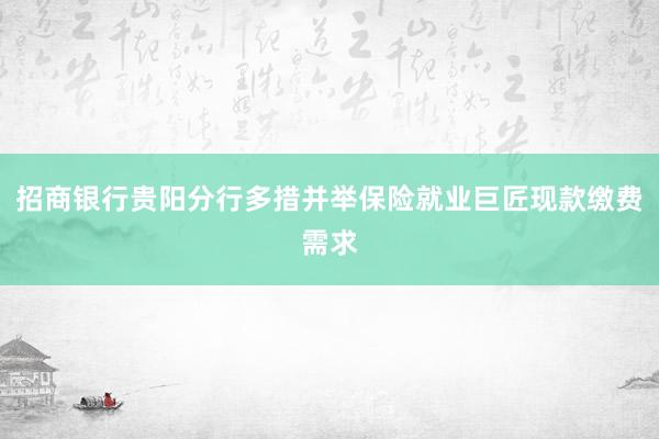 招商银行贵阳分行多措并举保险就业巨匠现款缴费需求