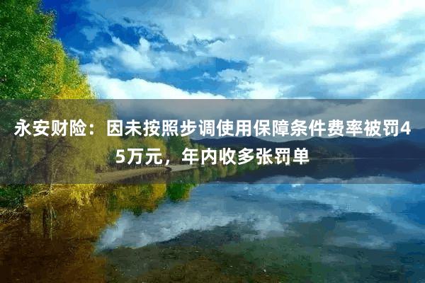 永安财险：因未按照步调使用保障条件费率被罚45万元，年内收多张罚单