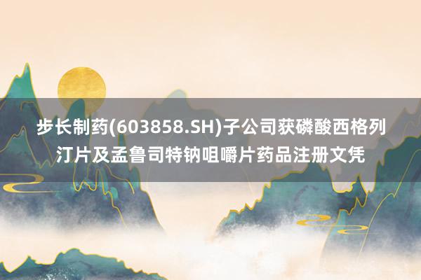 步长制药(603858.SH)子公司获磷酸西格列汀片及孟鲁司特钠咀嚼片药品注册文凭