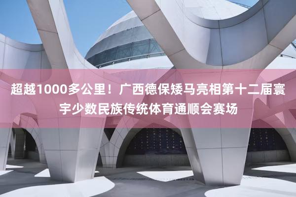 超越1000多公里！广西德保矮马亮相第十二届寰宇少数民族传统体育通顺会赛场