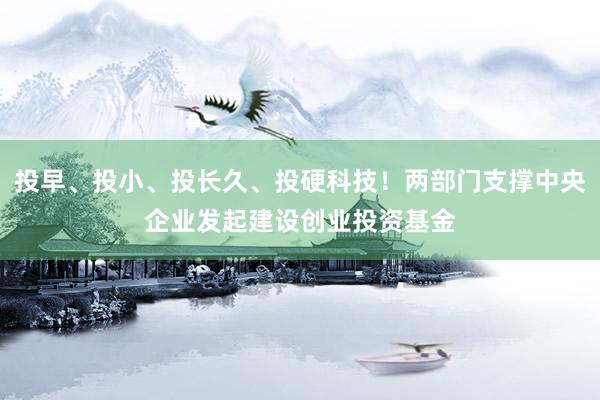投早、投小、投长久、投硬科技！两部门支撑中央企业发起建设创业投资基金
