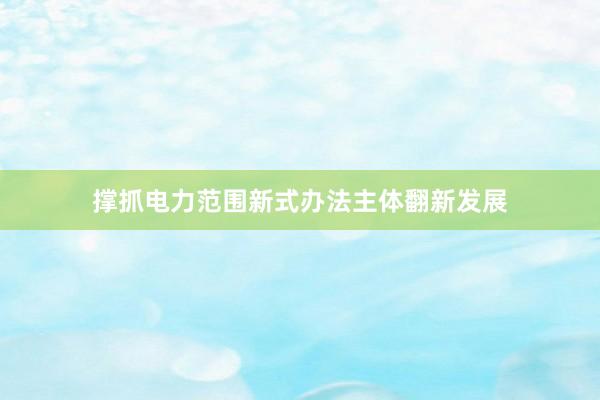 撑抓电力范围新式办法主体翻新发展