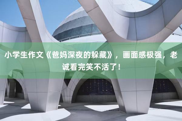 小学生作文《爸妈深夜的躲藏》，画面感极强，老诚看完笑不活了！