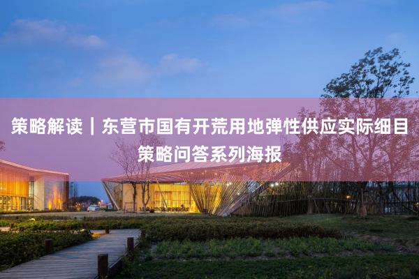 策略解读｜东营市国有开荒用地弹性供应实际细目策略问答系列海报