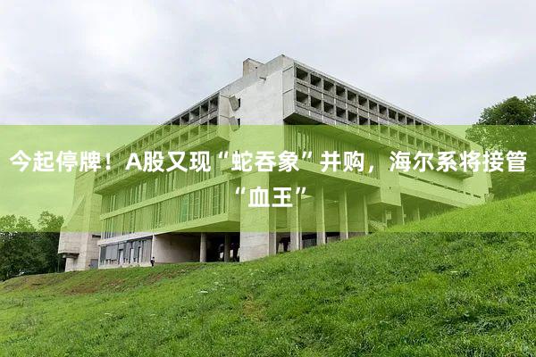 今起停牌！A股又现“蛇吞象”并购，海尔系将接管“血王”